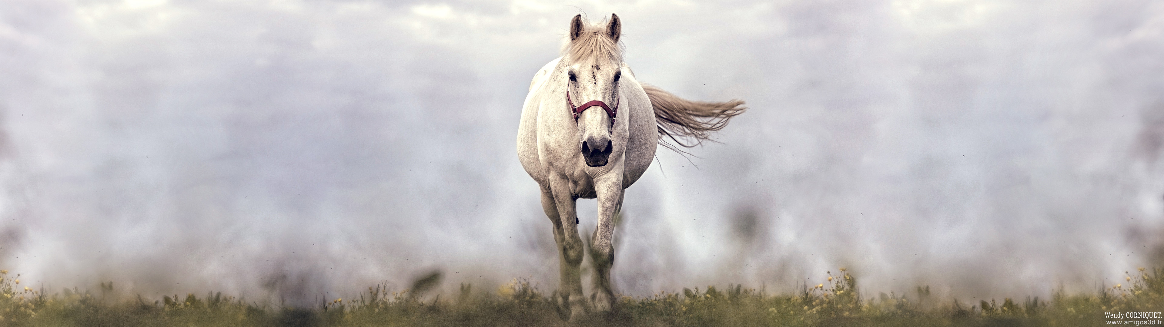 208-whitehorse