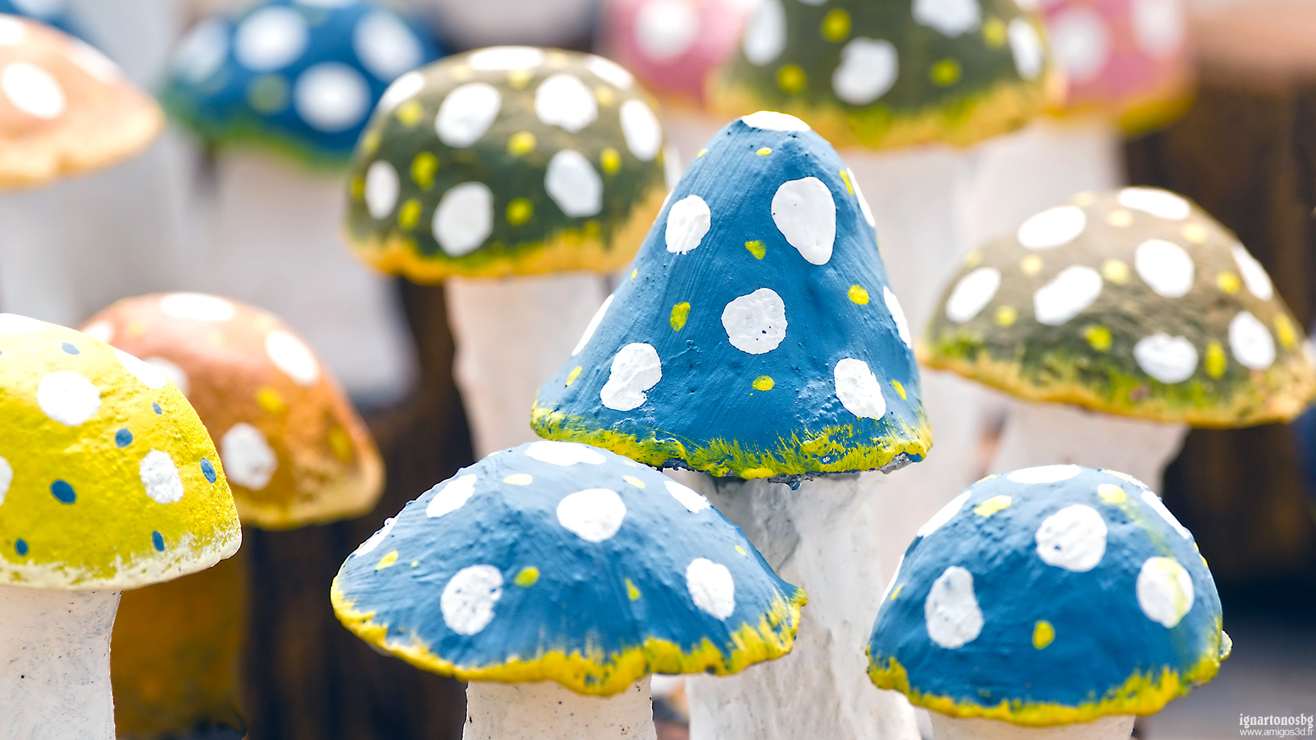 Mushrooms2
