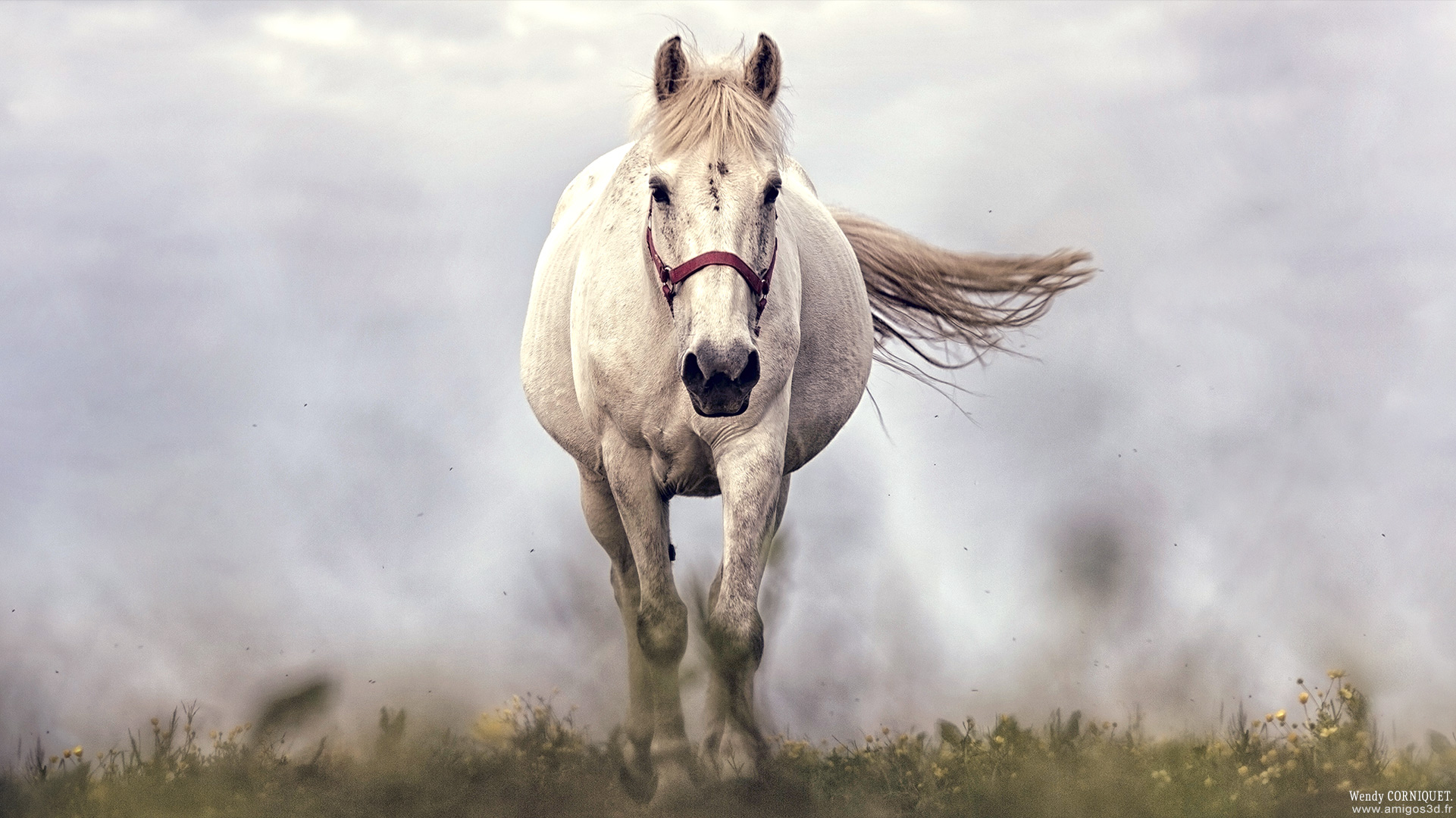 Whitehorse