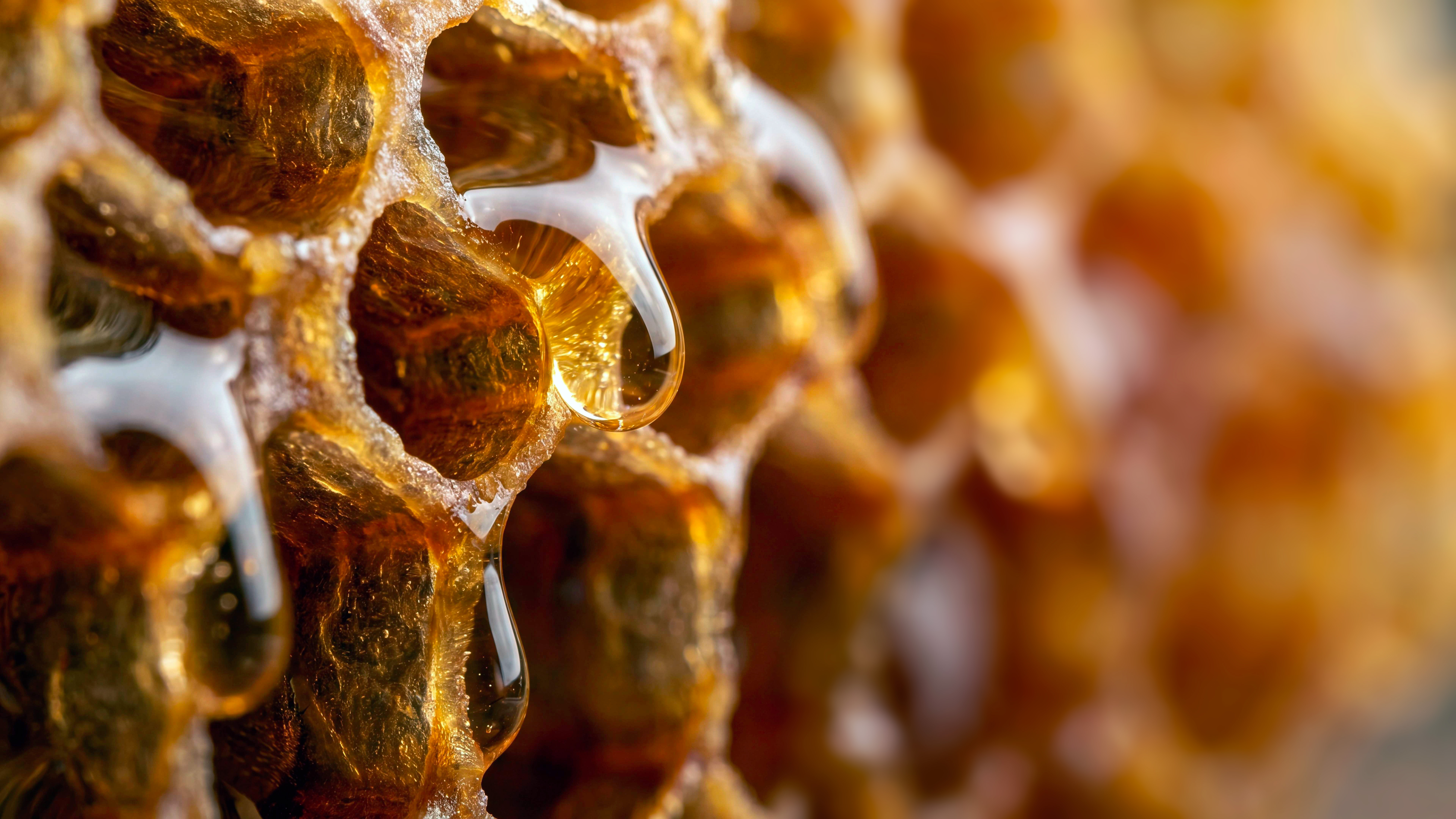 Honey