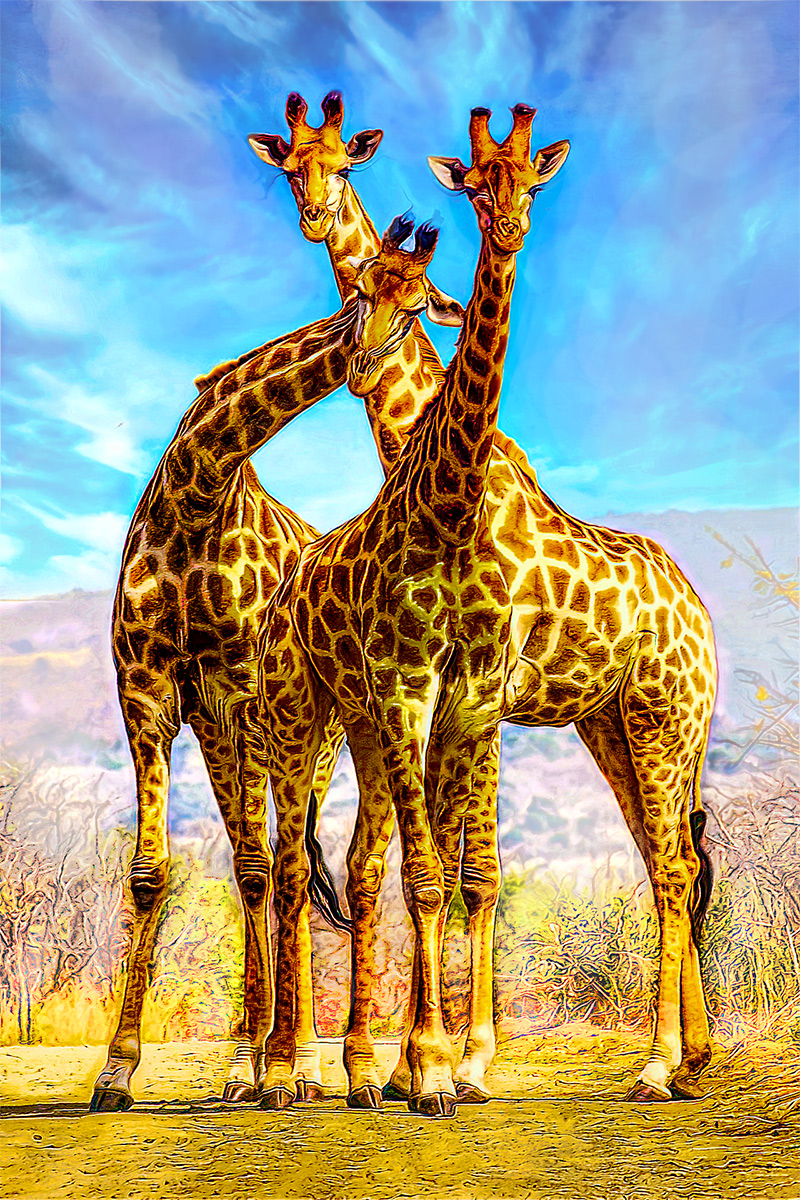 Lesgirafes