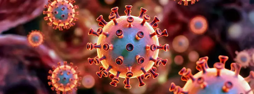 Red virus