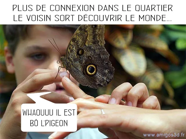 bopigeon