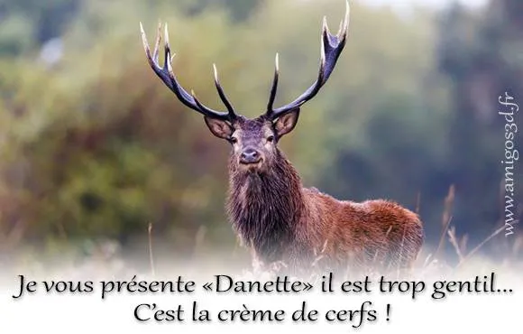 danette