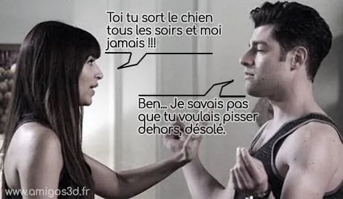 sortir le chien