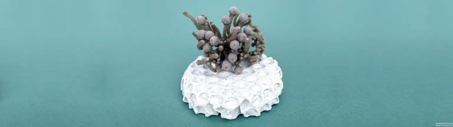 Decor
