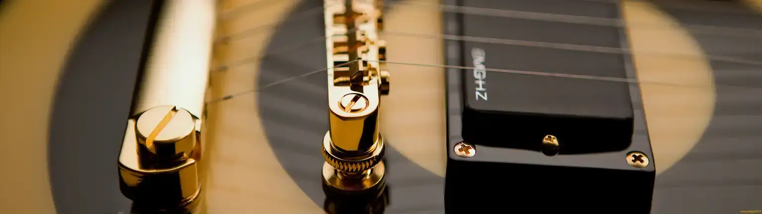 Guitard