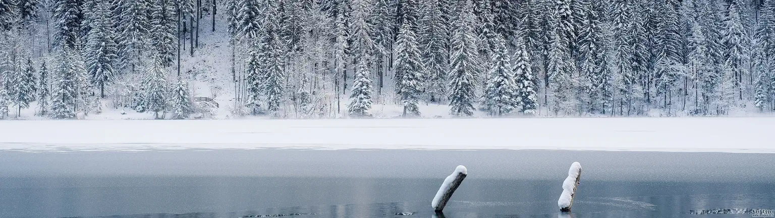 Lakeinwinter