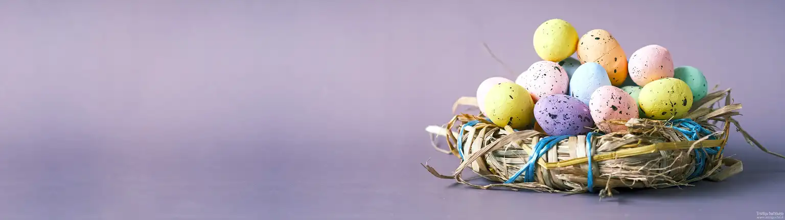 Nest