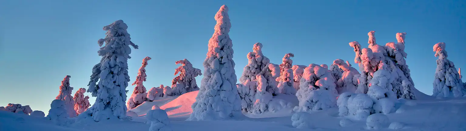 Sunsetsnow