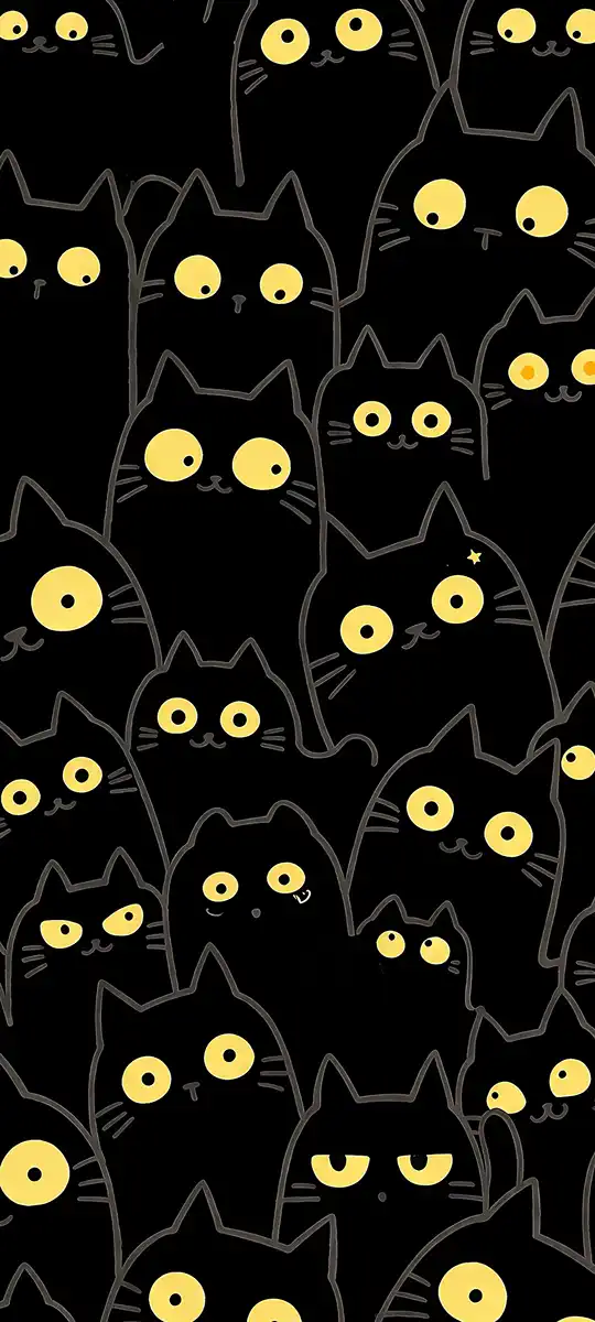 Black cat