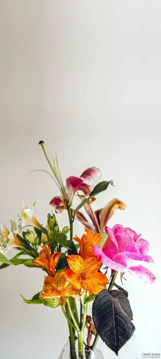 Bouquet