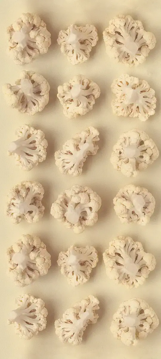 Chouxfleurs