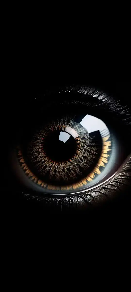 Eye
