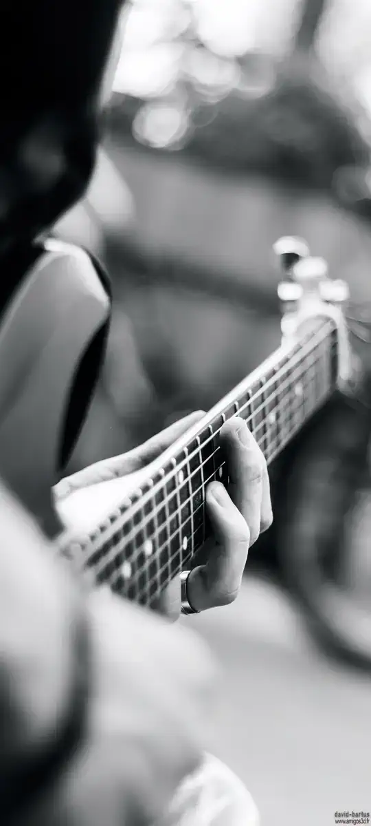 Guitariste