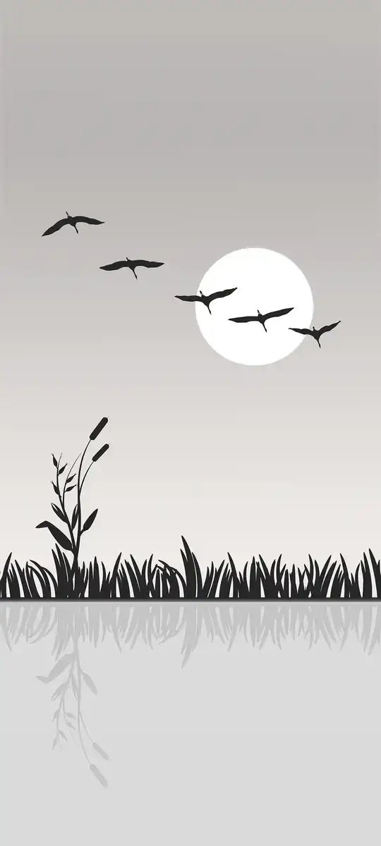 Migration