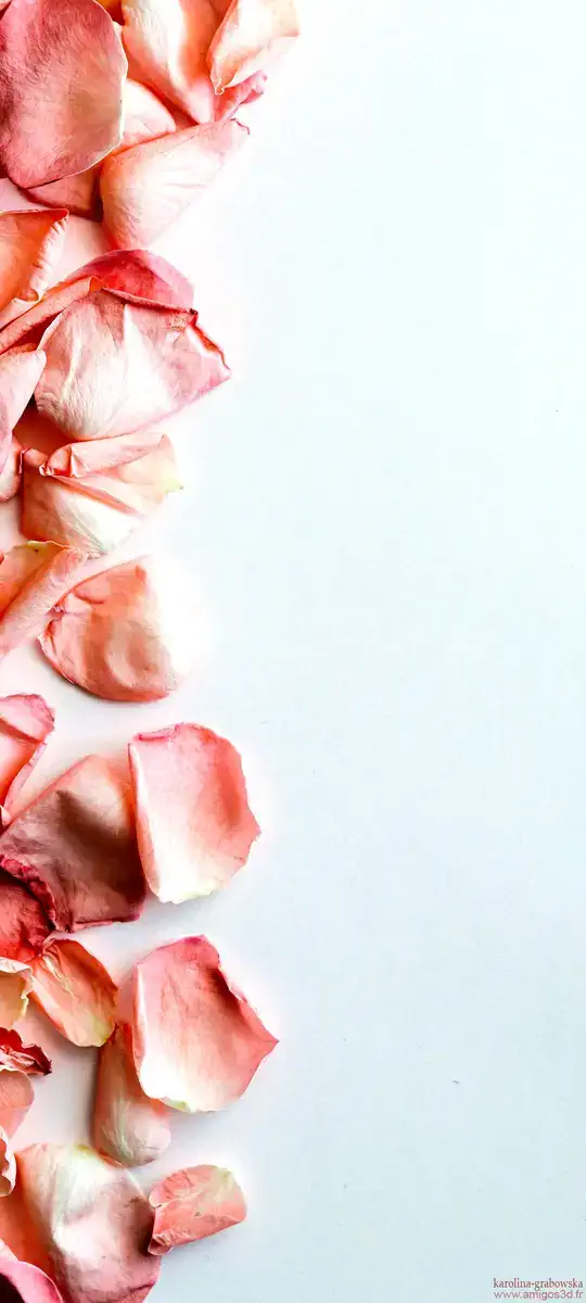 Petals