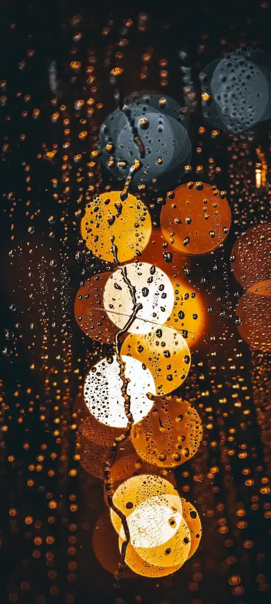Rain