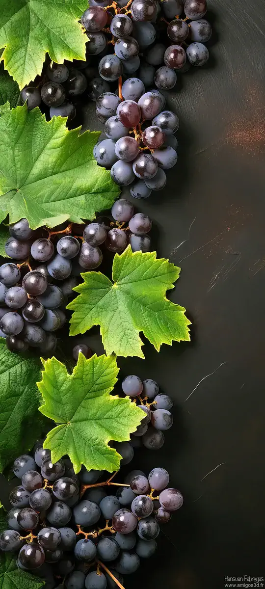 Raisins