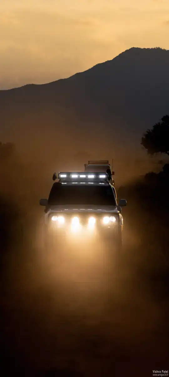 Safari
