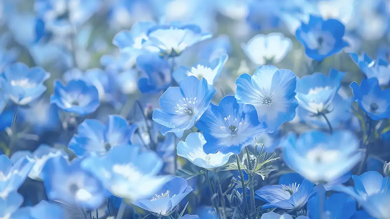 Blueflowers