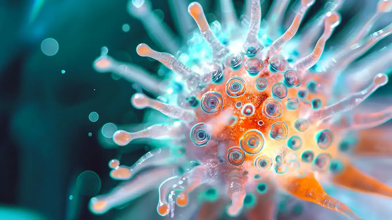 Jolivirus