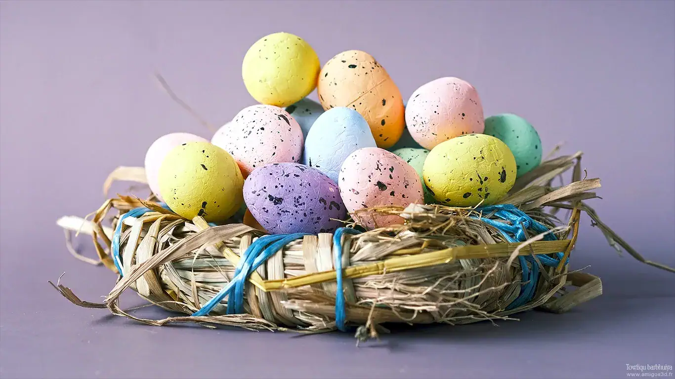 Nest