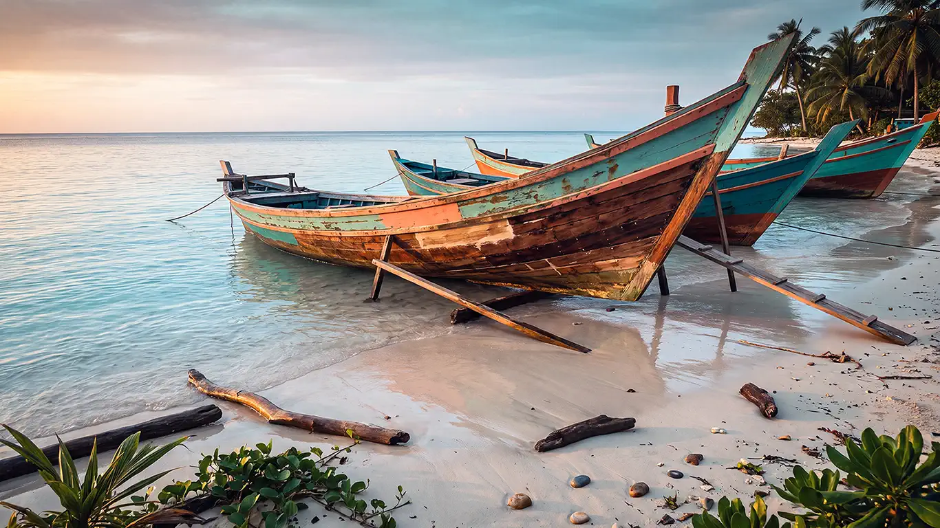 the wood boats