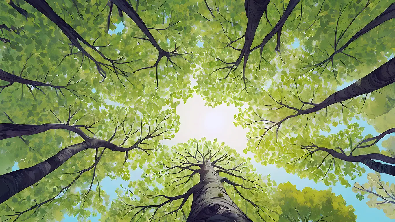 Tree sky wallpaper HD pour PC