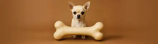 Colosal dog - Wallpaper ultrawide 3440x1440 5120x1440 7680x2160 4K 8K fond d'écran panoramique 21:9 32:9 pour PC gaming téléchargement gratuit haute qualité Amigos3D