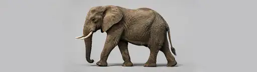 Elephant big - Wallpaper ultrawide 3440x1440 5120x1440 7680x2160 4K 8K fond d'écran panoramique 21:9 32:9 pour PC gaming téléchargement gratuit haute qualité Amigos3D