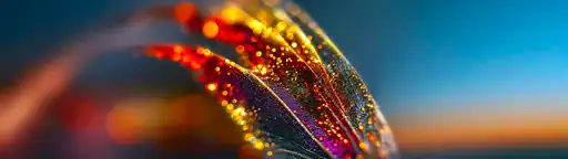Feather jewelry wallpaper ultrawide 3440x1440 4K 8K fond écran ultra wide